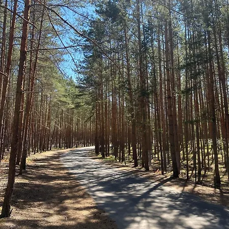 Chatky U Frantiska Machovo Jezero Doksy  Esterno foto
